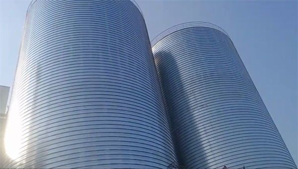 桐乡2座混凝土高架卷板仓